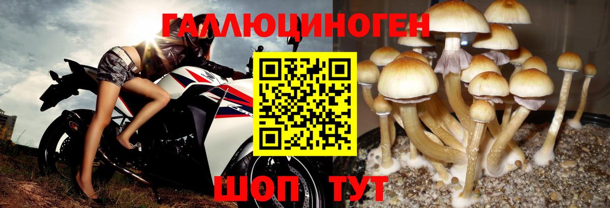 Галлюциногенные грибы ЛСД Видное